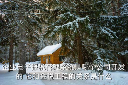 什么是網(wǎng)稅系統(tǒng)，企業(yè)電子報(bào)稅管理系統(tǒng)是哪個(gè)公司開(kāi)發(fā)的 它和金稅工程的關(guān)系是什么