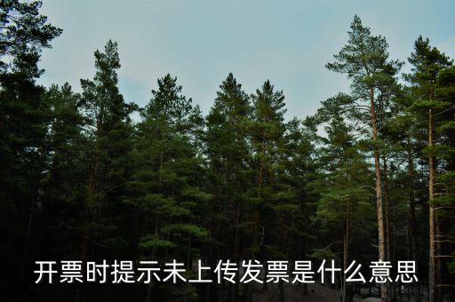 打發票時顯示未上傳是什么原因，電子發票未上傳