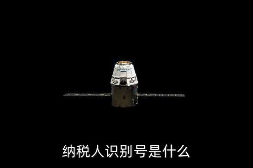 海寧市國家稅務局認別號是什么，納稅人識別號是什么