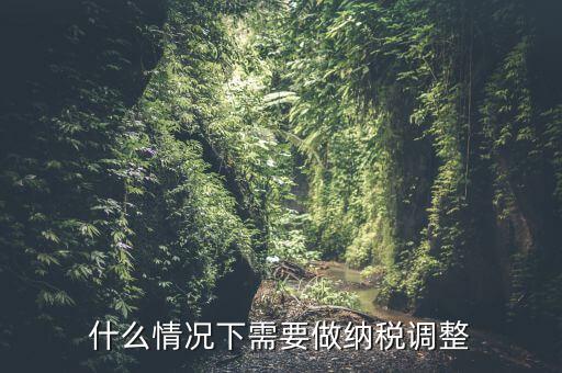 什么情況下需要做納稅調整