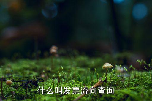 什么叫發票流向查詢