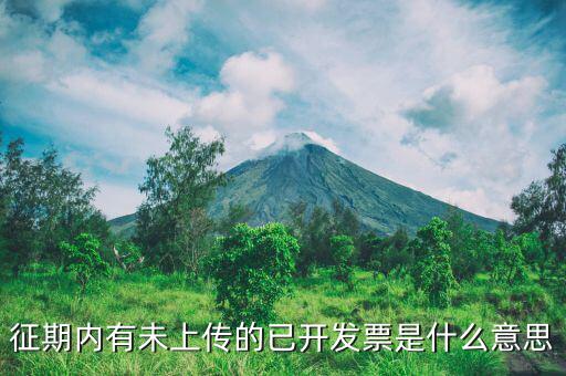 申報沒上傳是什么意思，我在財務申報時沒上傳第二天可以不傳嗎