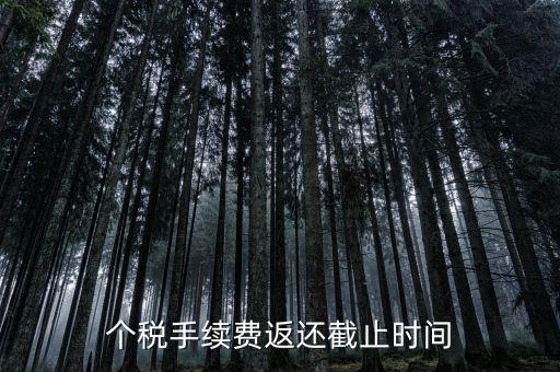 個稅手續費返還什么時候還，個稅手續費返還時間
