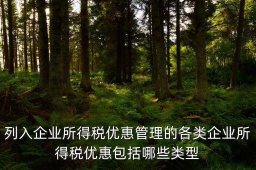 企業所得稅優惠事項名稱指什么，享受企業所得稅優惠申請表中稅收優惠事項名稱怎么填