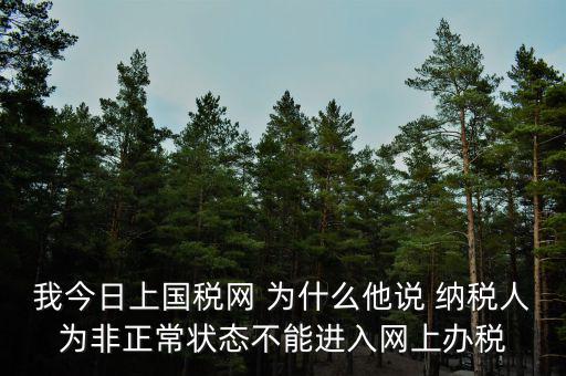 我今日上國稅網 為什么他說 納稅人為非正常狀態不能進入網上辦稅