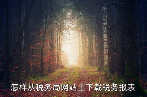 怎樣從稅務局網站上下載稅務報表