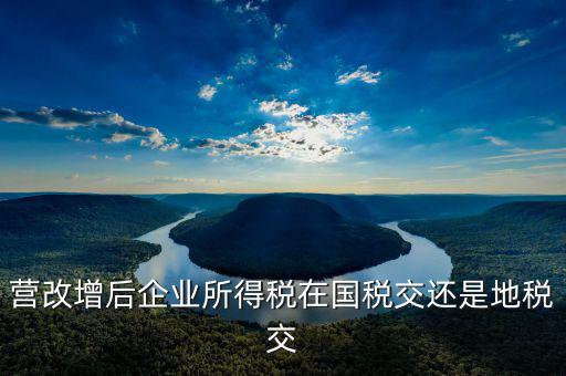 營改增后企業所得稅在國稅交還是地稅交