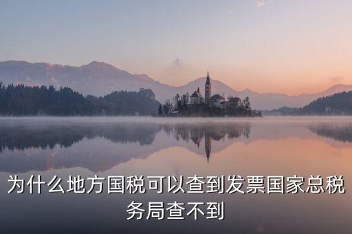 為什么地方國稅可以查到發票國家總稅務局查不到