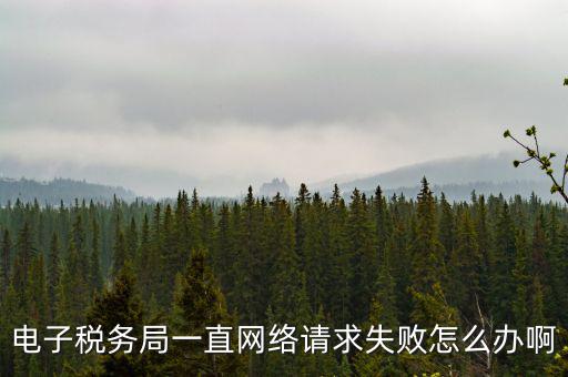貴州省網上稅務局為什么打不開，怎么打不開貴州地方稅務局網站
