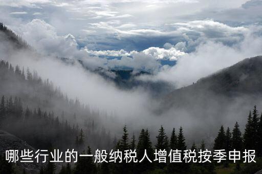 哪些行業的一般納稅人增值稅按季申報