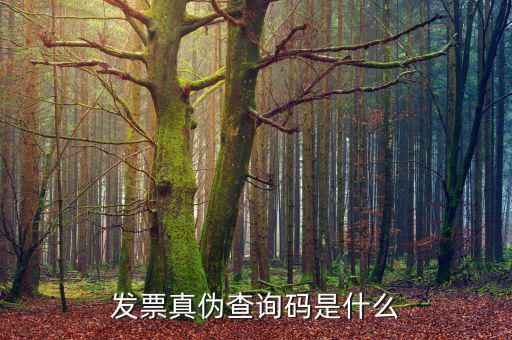 定額發(fā)票真?zhèn)尾樵兲?hào)是什么，發(fā)票真?zhèn)尾樵兇a是什么