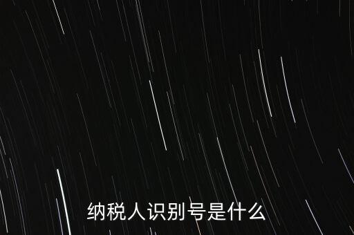 電子稅務局納稅人識別號是什么，納稅人識別號是什么