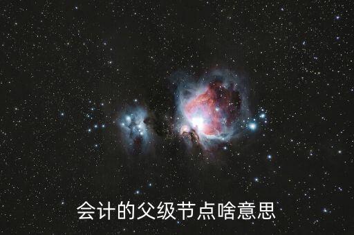 會計的父級節點啥意思