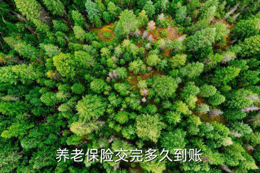 西安地稅養老什么時候到賬，養老保險交完多久到賬