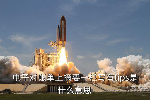 國(guó)稅tips系統(tǒng)指什么，電子對(duì)賬單上摘要一欄寫(xiě)有tips是什么意思