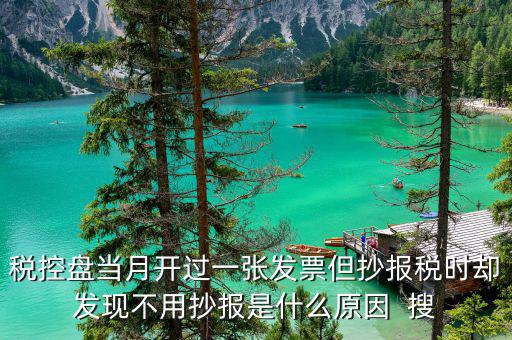 稅控盤當月開過一張發票但抄報稅時卻發現不用抄報是什么原因  搜