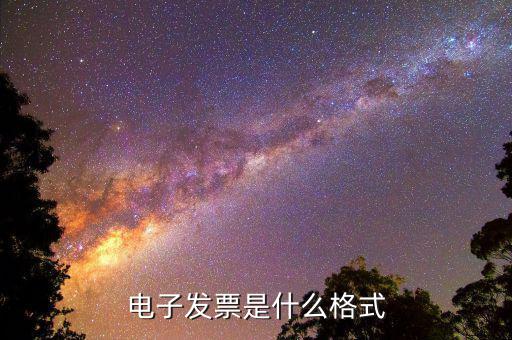 電子發票是什么格式