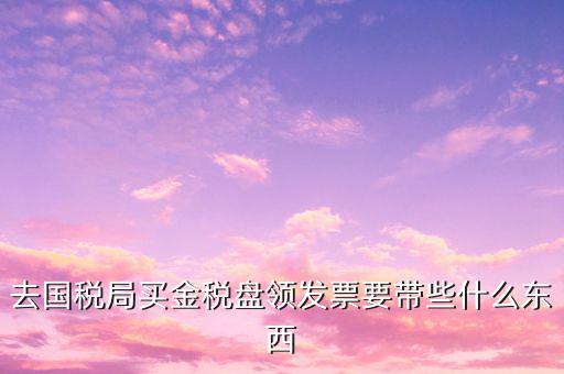 去國稅局買金稅盤領發票要帶些什么東西