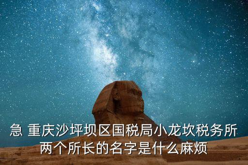 稅務所所長什么級別，地稅局基層稅務所屬什么層級