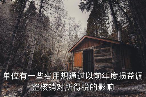 單位有一些費用想通過以前年度損益調整核銷對所得稅的影響