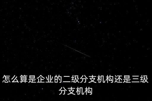 什么叫企業(yè)二級(jí)分支機(jī)構(gòu)，現(xiàn)在分公司要辦稅務(wù)登記證但是我想問(wèn)一下二級(jí)分機(jī)構(gòu)指的是