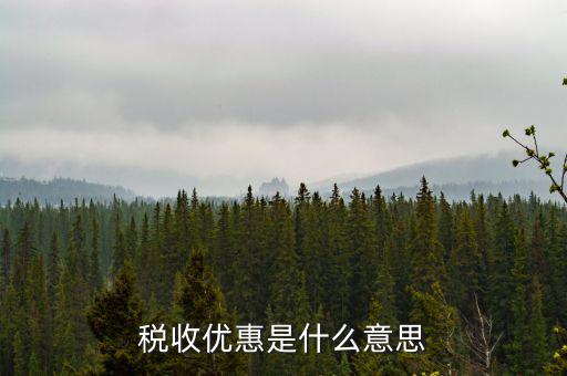 稅收優惠是什么意思
