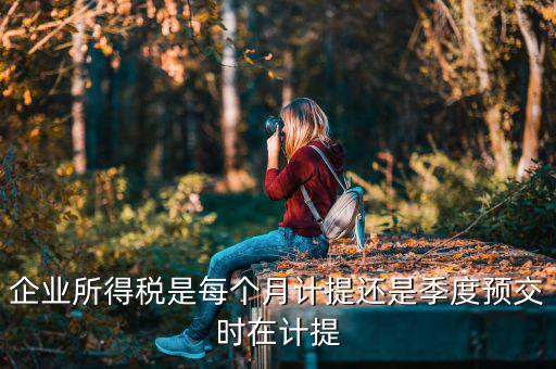 企業所得稅是每個月計提還是季度預交時在計提