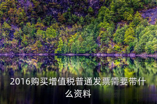2016購買增值稅普通發票需要帶什么資料
