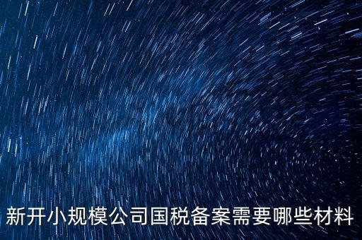 新開小規模公司國稅備案需要哪些材料