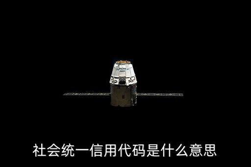 社會統一信用代碼是什么意思