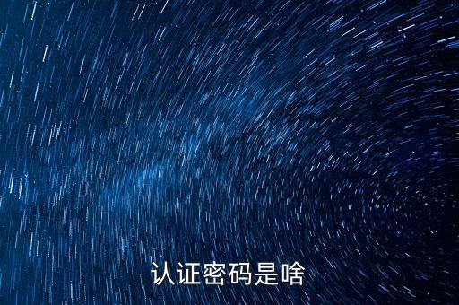 網上認證的密碼是什么意思啊，市民身份證手機認證服務密碼是什么意思在線等急