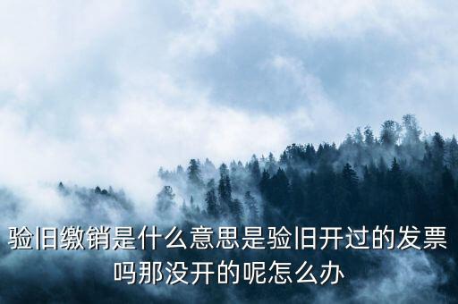 發票驗舊繳銷是什么意思，發票驗舊是什么意思