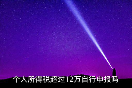 十二萬什么時候申報，年所得地12萬元以上的個人應在什么時候自行申報