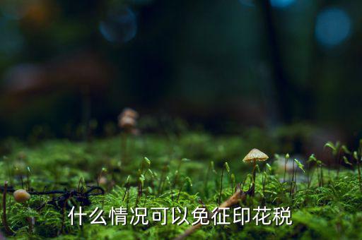 印花稅免稅是什么政策規定，什么情況可以免征印花稅