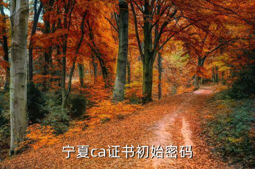 ca的默認密碼是什么意思，ca口令是什么