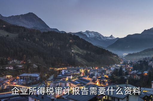 審計稅務都審什么資料，公司稅審資料