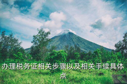 辦理稅務證相關步驟以及相關手續具體點