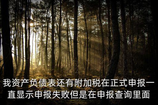 我資產負債表還有附加稅在正式申報一直顯示申報失敗但是在申報查詢里面