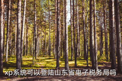 xp系統可以登陸山東省電子稅務局嗎