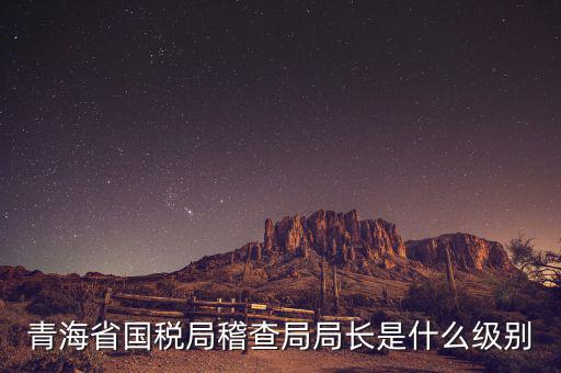 青海國稅局局長叫什么，詢問09年國稅和青海省地稅報考公務員時間