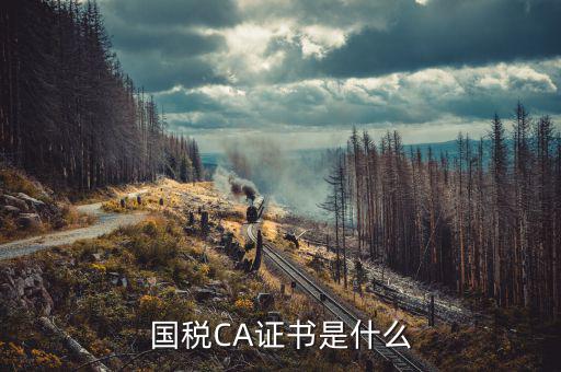 國稅密鑰和證書是什么意思，增值稅專用發票辦理秘鑰是什么意思