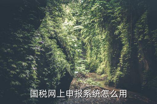 國稅網上申報系統怎么用