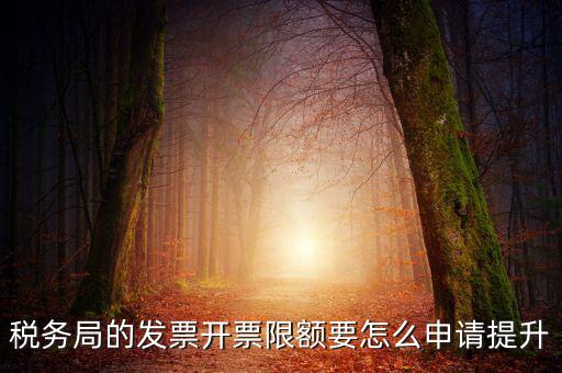 提高開票限額申請需要什么資料，去稅務局增大公司的開票限額需要帶些什么我公司第一次開票去申