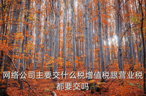 網絡公司主要交什么稅增值稅跟營業稅都要交嗎