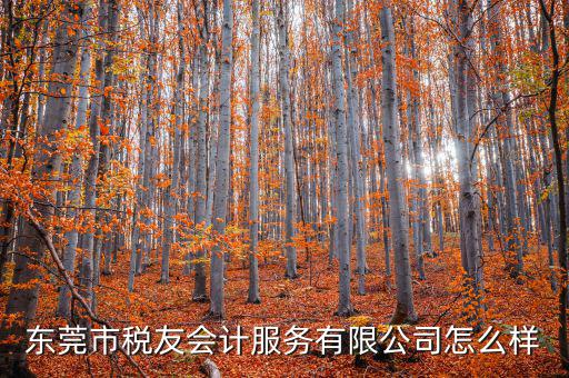 東莞稅友是做什么的，稅友集團是做什么的