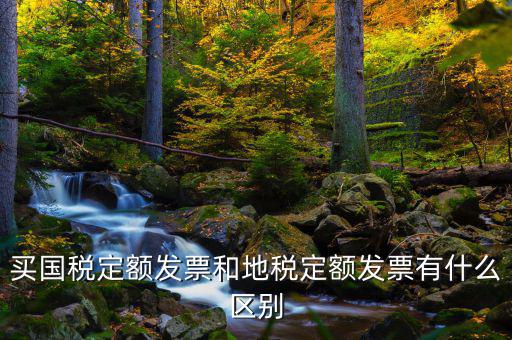 買國稅定額發票和地稅定額發票有什么區別