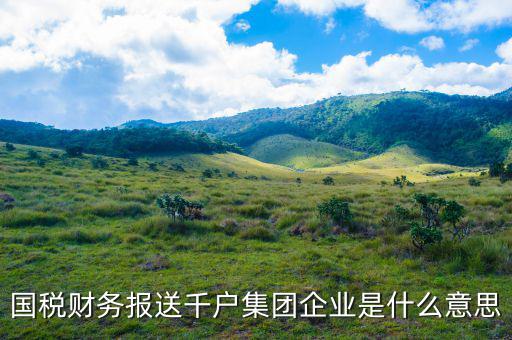 國稅財務報送千戶集團企業是什么意思