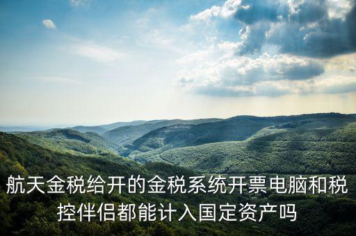 金稅為什么給中軟做，航天金稅給開的金稅系統(tǒng)開票電腦和稅控伴侶都能計(jì)入國(guó)定資產(chǎn)嗎