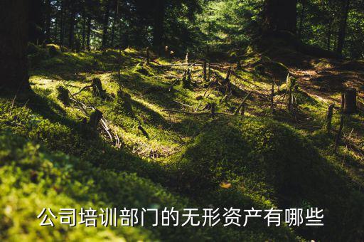 其他權益性無形資產是什么，無形資產屬于什么科目