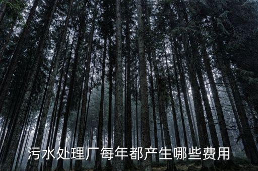 污水處理廠要交什么稅，污水處理廠屬于什么納稅行業